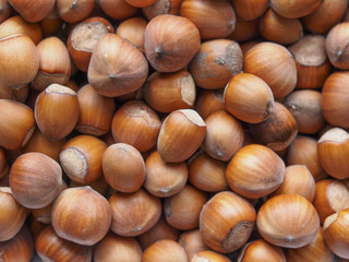 hazelnuts