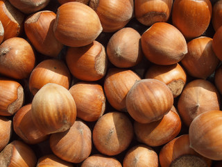 hazelnuts