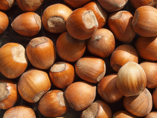 hazelnuts