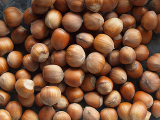 hazelnuts