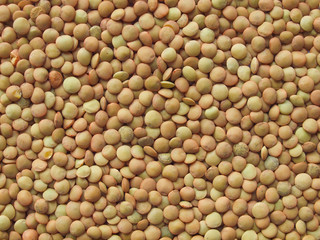 Lentils