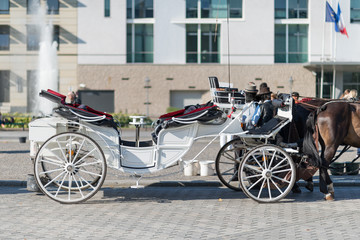 Carrozza turistica trainata da cavalli