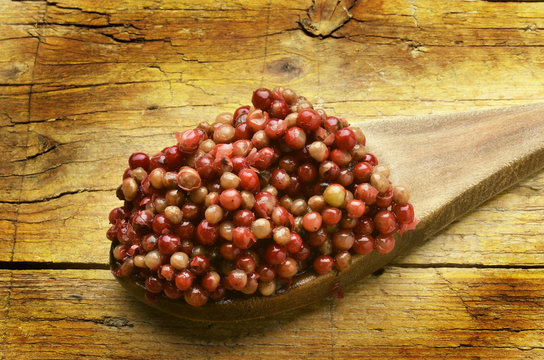 Gualeguay Pepe rosa Peruanischer Pfefferbaum American pepper