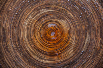 Circular texture of wet wood