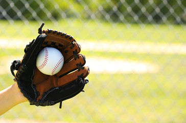 Hand of Baseball Player with Glove and Ball over Field