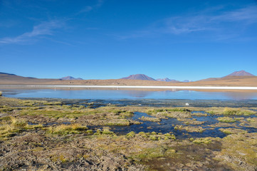 Fototapeta na wymiar Gorgeous landscapes of Sur Lipez, South Bolivia