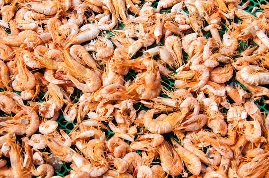 Close up on dried shrimps in the sun