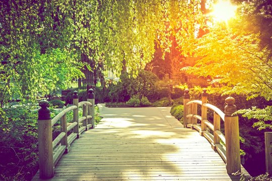 Scenic Garden Bridge