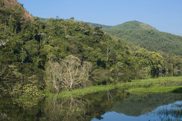 Trecho de mata natural em Paraibuna (SP)