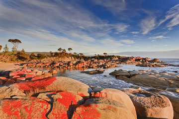 Tasmania Bay of Fires Red Rocks - obrazy, fototapety, plakaty