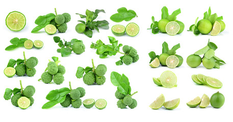 collection lime fruit set  on white background