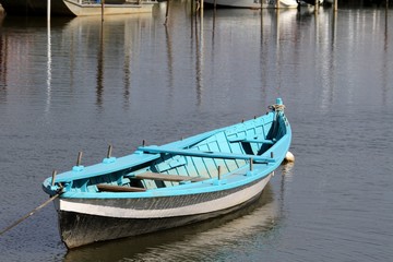 Fototapeta na wymiar pinassotte,bateau traditionnel,bassin d'arcachon