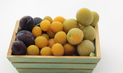 Variétés de prunes