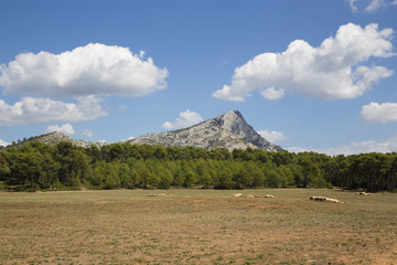 Mont Sainte Victoire in Provence, France