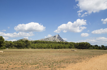 Mont Sainte Victoire in Provence, France