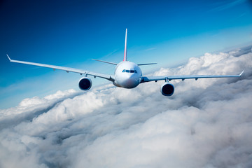 Naklejka premium Passenger Airliner in the sky