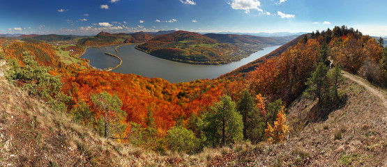 Fall Panorama with forest