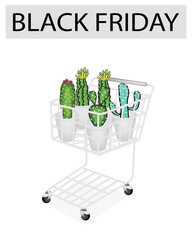 Cactus and Cactus Flowers in Black Friday Shopping Cart