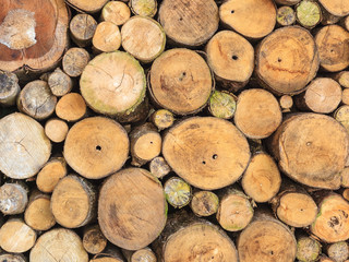 grunge wall made by wood logs