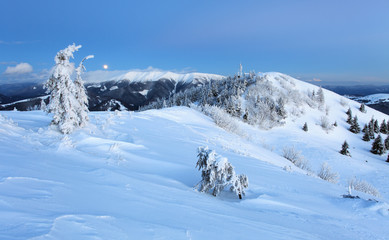 Fototapeta na wymiar Forest mountain at winter, Slovakia