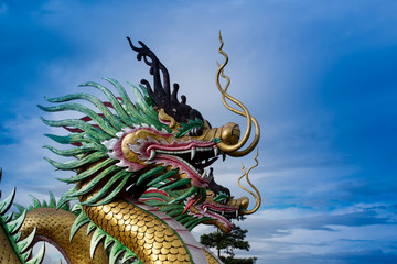 Fototapeta premium Dragon in wat hyua pla kang , Chiang Rai, Thailand