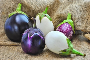 Varietà di melanzane