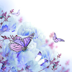 Fototapeta premium Floral background of roses and butterfly, wild flowers