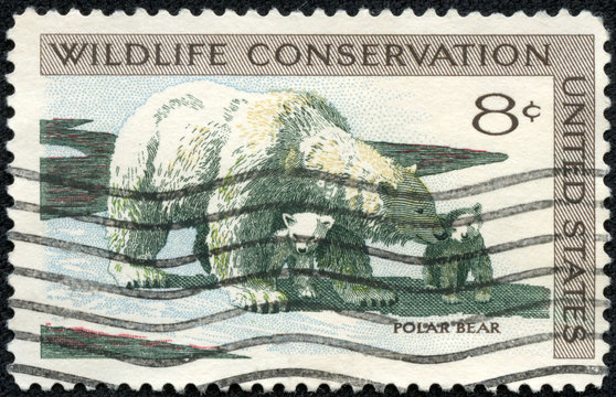 Stamp printed in USA shows the Polar Bear