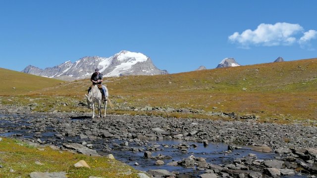 alpine landscape with horseman