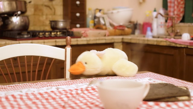 Stuffed toy duck in kitchen