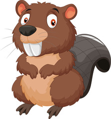 Cartoon beaver © tigatelu