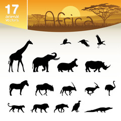 Afrika Set