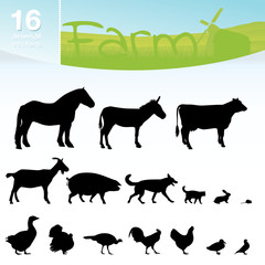 Farmtiere