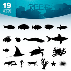 Riff Set © frilled_dragon