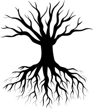 recommend clip art: Tree silhouette