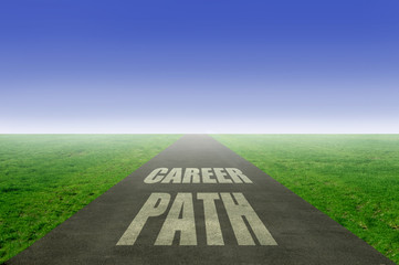 Career path