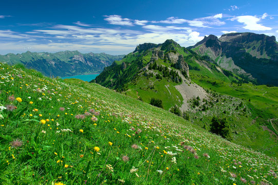 alps