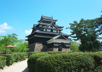 Fototapeta premium 島根城