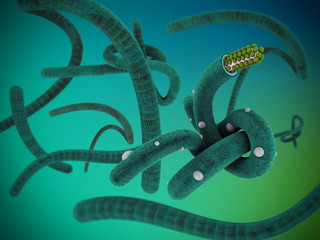 illustration of virus like ebola on gradient background