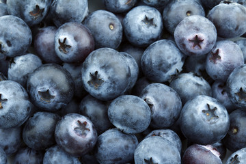 heap of blueberries