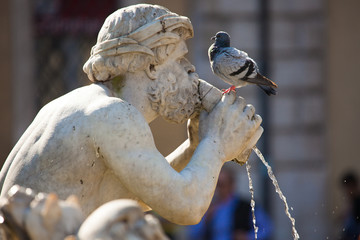 Fototapeta premium Fontana del Moro