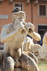 Fontana del Moro