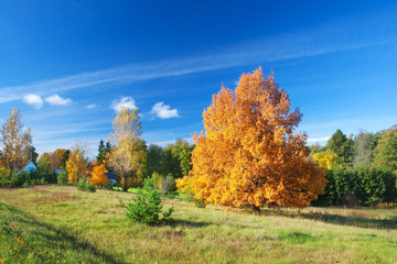 Fototapeta premium Autumnal landscape