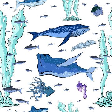 Pattern of marine animals