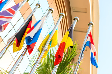 group of national flags on flagpoles