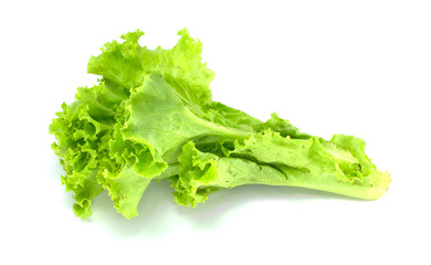 Lettuce