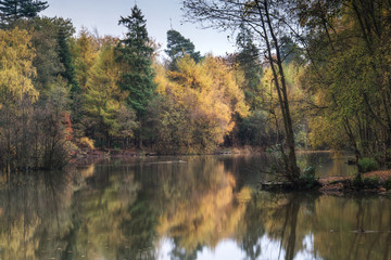 Beautiful vibrant Autumn woodland reflecions in calm lake waters