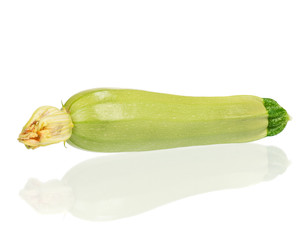 Vegetable marrow