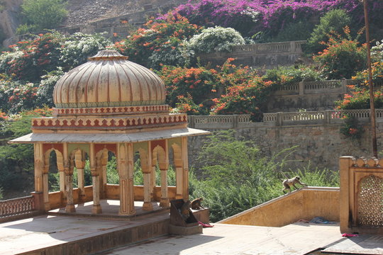 Galta Temple (or the Monkeys temple)
