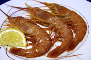 prawns